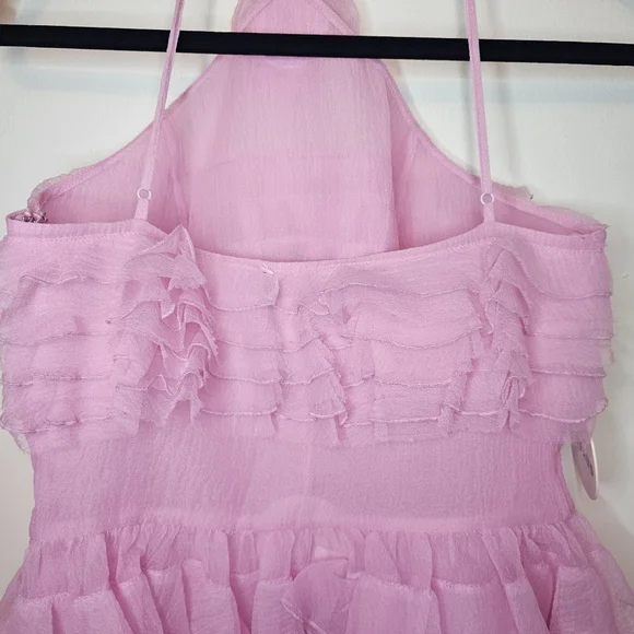 NWT STAUD Florian Rosette Appliqued Tulip Pink Ruffled Organza Mini Dress Size 8 - Picture 11 of 14